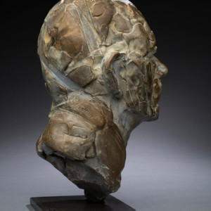 Shelley's Creation, 2018<br>Bronze, Edition of 9, 15" x 7" x 9"